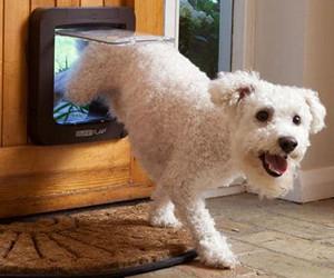 Puerta para mascotas con microchip SureFlap