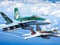 post_big/RAAF-Classic-Hornets.jpg