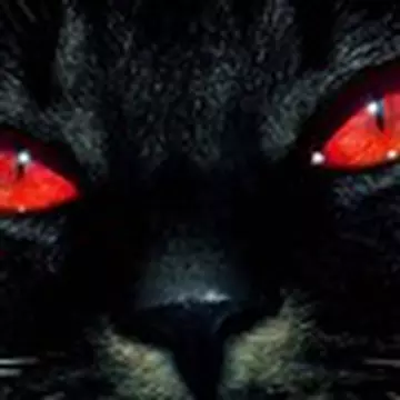 Алексей Лавренюк