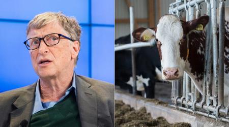 Bill Gates financed the creation of an ideal cow