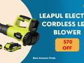 post_big/LEAPUL_Electric_Cordless_Leaf_Blower_1.jpg