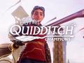 post_big/harry-potter-quidditch-champions.jpg