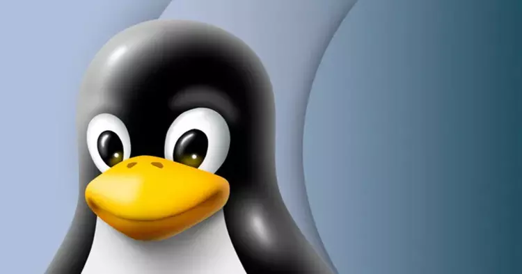 New Linux flaw: 'Wall' vulnerability poses ...