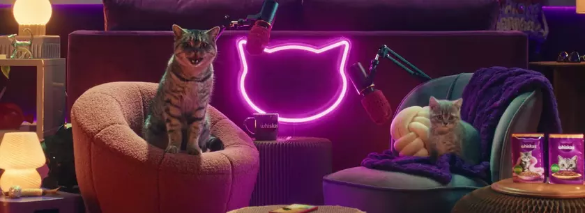 Whiskas Purrcast: Погладь свои уши с новым кошачьим подкастом