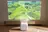 Redmi Projector 5: Xiaomi выпустила бюджетные кинотеатры для потолка и стен