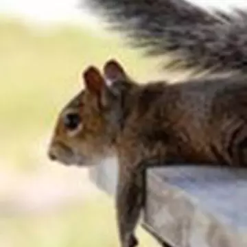 Оксана Иванова