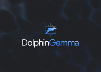 Google создала ИИ для общения с дельфинами