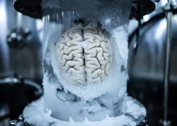 Крионика для начинающих: как заморозить мозг и не превратить его в кашу