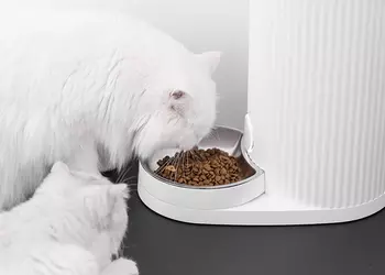 Xiaomi и котики: компания анонсировала умную кормушку