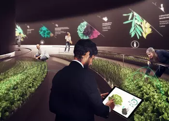 Не спешите нас хоронить: какими будут розничные магазины ближайшего будущего