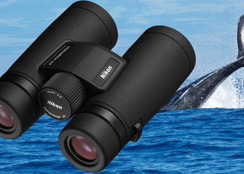 Best Binoculars for Whale Watching