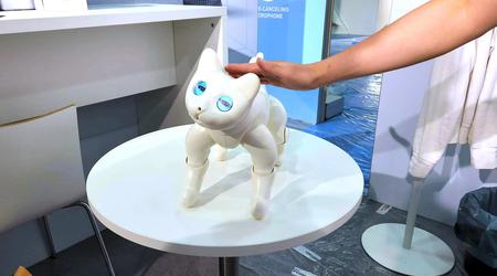 At IFA 2022, they showed MarsCat, a cuddly robot cat that senses touch, responds to voices, and plays with toys