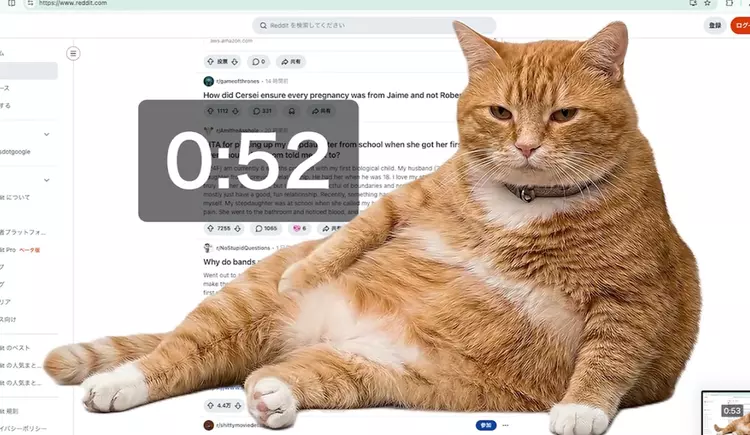 A giant cat will block your ...