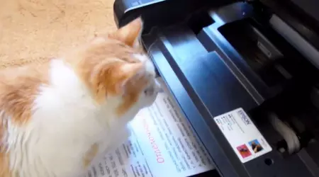 Кращий принтер для будинку і школи