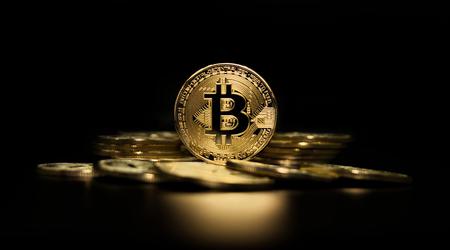 During the year, the number of Bitcoin wallets with a balance of $1 million or more decreased fivefold