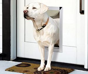 eXtreme Performance Locking Rugged Aluminum Dog Doors for Exterior Doors