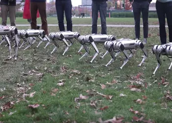 Видео: стая роботов-собак Mini Cheetah играет в футбол и синхронно делает сальто