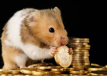 Хомяк научился торговать криптовалютой на бирже