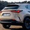 Lexus NX Overtrail із чорною синтетичною шкірою