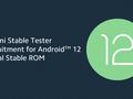 post_big/Xiaomi-Android-12-Beta-Programm-for-Global-phones.jpg