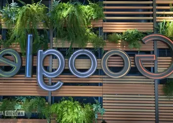 Google Photos позволяет исправлять зеркальные селфи на Android: новая функция уже доступна