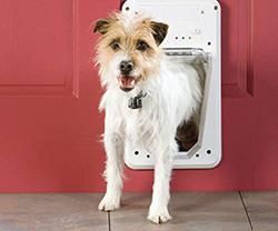 PetSafe Electronic SmartDoor – Collar Activated Dog and Cat Door