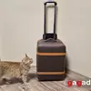 Чемодан Hisense XR10 с аксессуарами