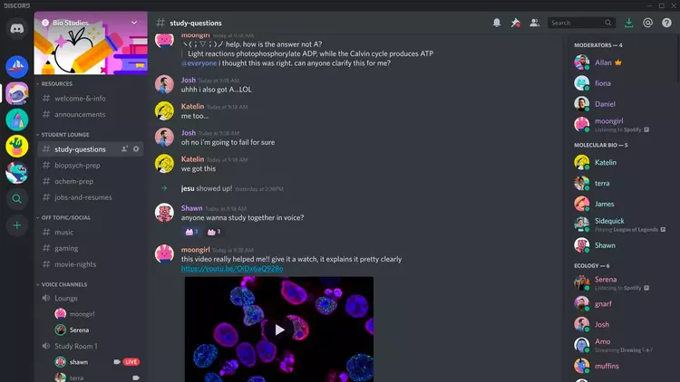 Как Discord (в общем-то, случайно) изобрел будущее Интернета