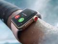 В следующем поколении Apple Watch увеличат размер дисплея и полностью уберут механические кнопки