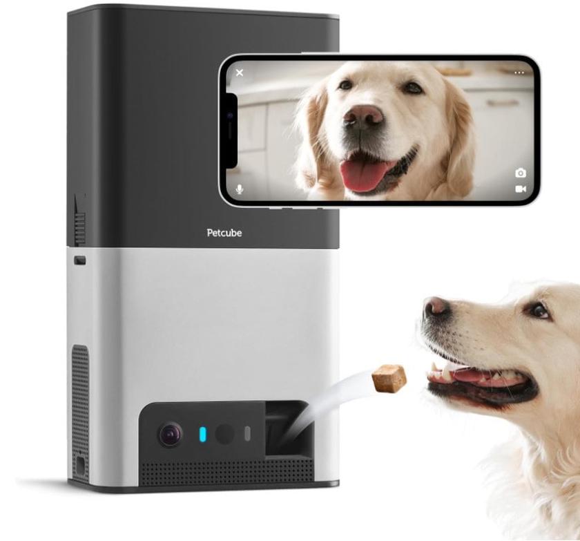 Petcube Bites 2 dog camera treat dispenser review