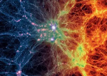 Интересные видео недели: самая высокая живая стена, Star Wars против Гарри Поттера и симулятор птицы