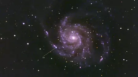 Scientists live-streamed the flash of one of the brightest supernovae of the past decade