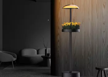 Экология встречается с дизайном: LG выпустит светодиодные напольные лампы со встроенным мини-садом