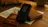 Best Translator Devices Without Internet
