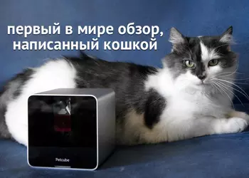 Мимими в кубе: обзор Petcube — Wi-Fi-камеры для домашних питомцев
