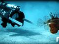 post_big/rse-robot-lionfish.jpg