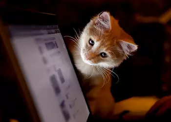 «ВКонтакте» не собирается менять хронологию записей в лентах