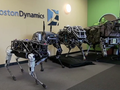 post_big/boston-dynamics-spot-robot-dog.png