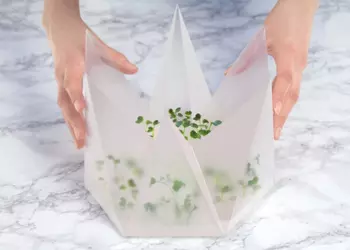 Infarm: домашний огород, не требующий ухода