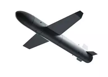 Литва инвестирует 10 млн евро в производство дальнобойной ракеты-дрона "Паляница"