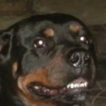 Виталий Яковенко