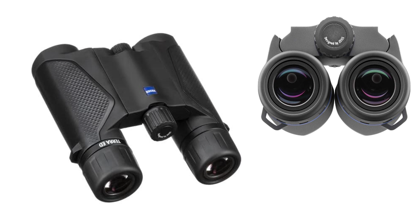 ZEISS Terra ED Pocket 10x25 small binoculars for bird watching