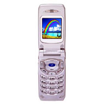 Samsung SGH-T400