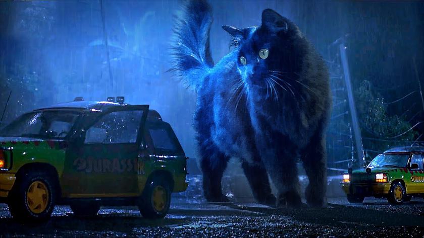 15 млн просмотров за полторы недели: OwlKitty показал забавный «Парк Юрского периода» с кошкой вместо динозавров