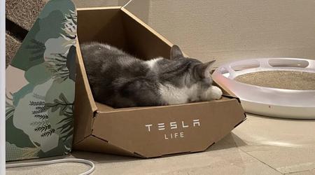 Looks like Tesla stole the design of a "Cybertruck-style" cat lounger from a Taiwanese company