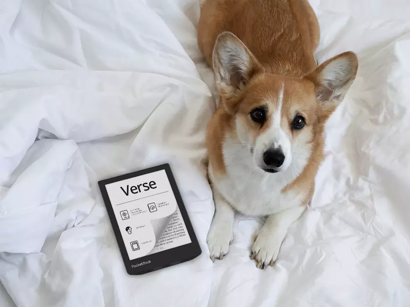 PocketBook Verse: 6-дюймовый дисплей E Ink Carta, слот для карты памяти и подсветка SMARTlight