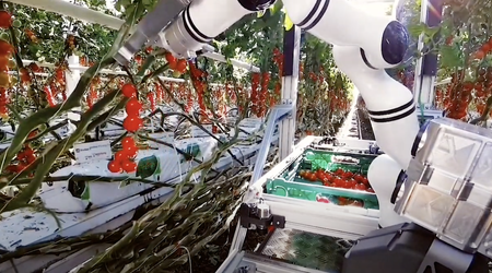 Робот швейцарського стартапу Float­ing Ro­bot­ics збирає врожай томатів в теплицях (відео)