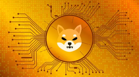 Businessman driver bought $ 670 Shiba Inu tokens, became a millionaire and quit