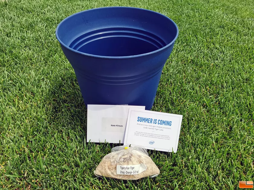 Intel анонсировала выход новых процессоров Tiger Lake с помощью горшка и луковиц цветов