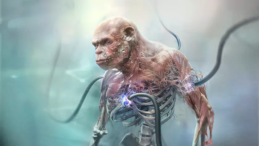 Из раба в пираты: новые сюжетные подробности Beyond Good & Evil 2 от Ubisoft